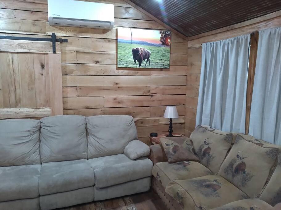 Cabin With A Tree House On A Buffalo Farm . Marshall 외부 사진
