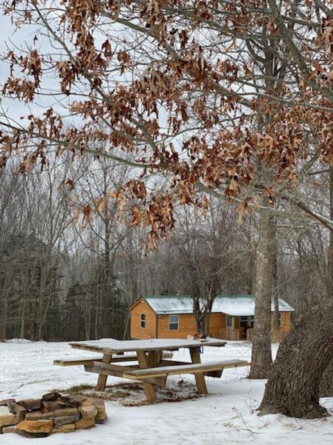 Cabin With A Tree House On A Buffalo Farm . Marshall 외부 사진
